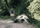 July 26, 2000. Front of my house garden. 