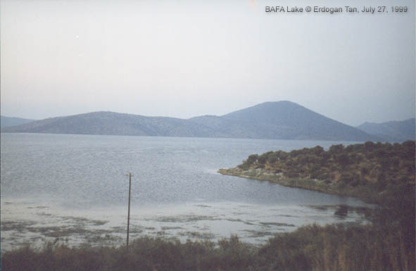 Bafa Gl [ Ske-Milas yolu zerinde... amii Gl ]