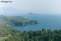 A Place between Koycegiz & Fethiye 