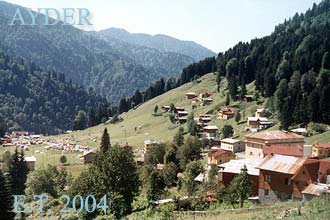 Ayder High Plateau (Rize-Ardesen-Camlihemsin Firtina Valley) August 2004