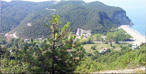 Gb Village (Downside & Coast)